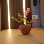Golden Sleep * شكودر