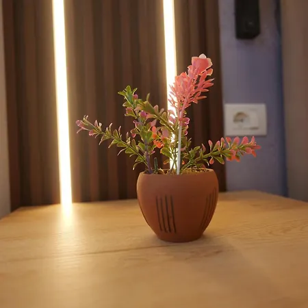 Golden Sleep * Shkodër